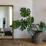 jak urządzić małe mieszkanie 40 m